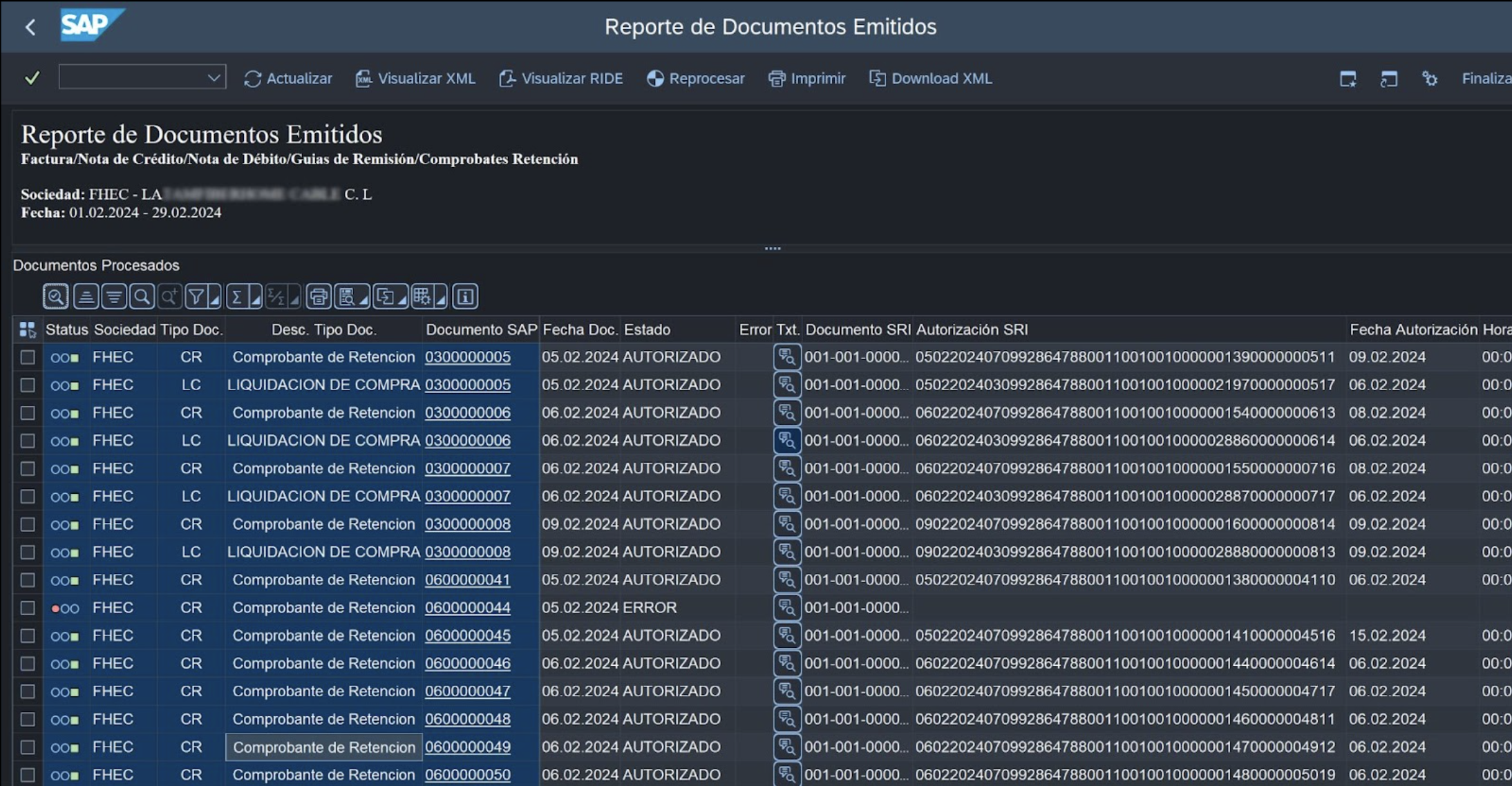 SAP report of issued electronic documents with SRI authorization status